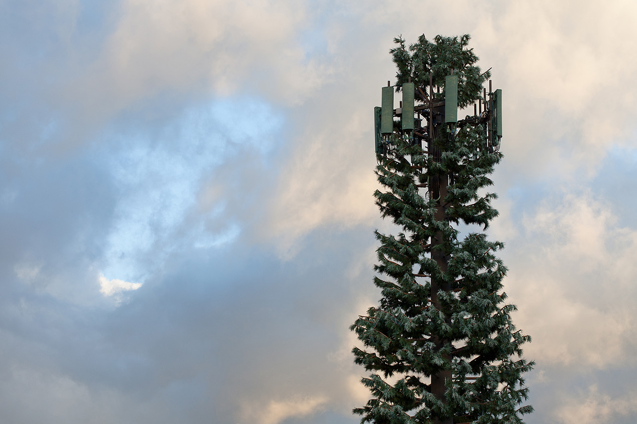 camouflage cell towers – ominous sort of cool