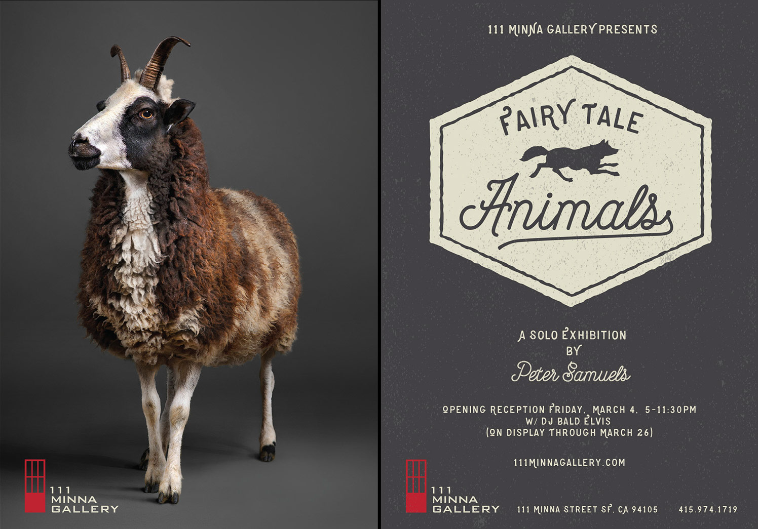 Fairy Tale Animals – A Real Animal Portrait Series