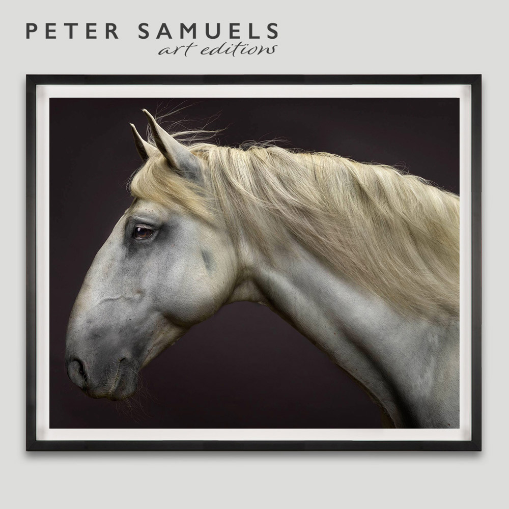 PS Art Editions, Framed fine art horse photography print sales